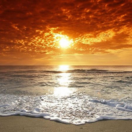 Affordable Two Bedroom Tropical Condo - Private Beach, Pools, Hot Tub St. Petersburg Esterno foto