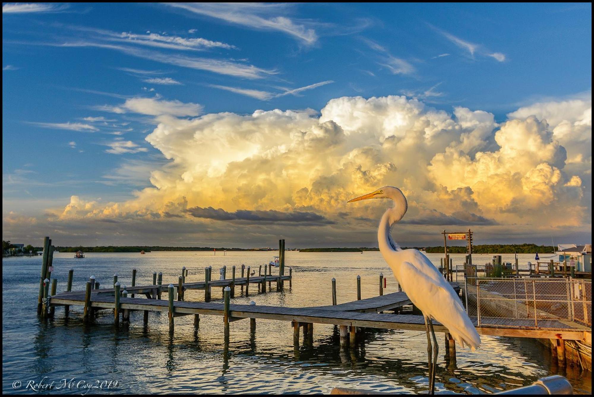 Affordable Two Bedroom Tropical Condo - Private Beach, Pools, Hot Tub St. Petersburg Esterno foto