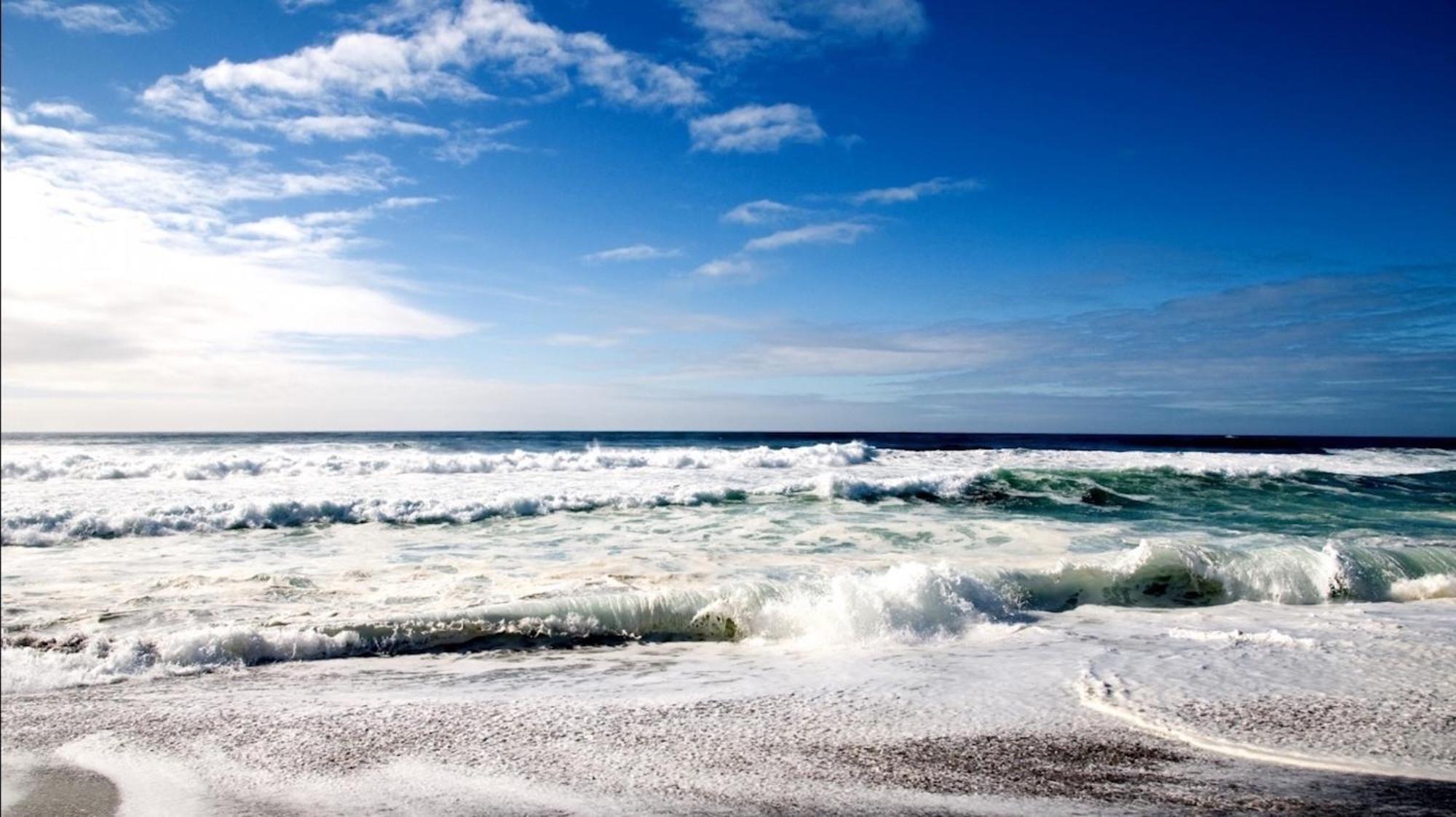 Affordable Two Bedroom Tropical Condo - Private Beach, Pools, Hot Tub St. Petersburg Esterno foto
