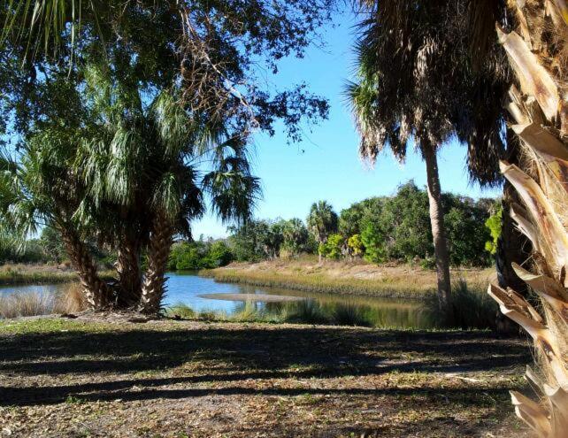 Affordable Two Bedroom Tropical Condo - Private Beach, Pools, Hot Tub St. Petersburg Esterno foto